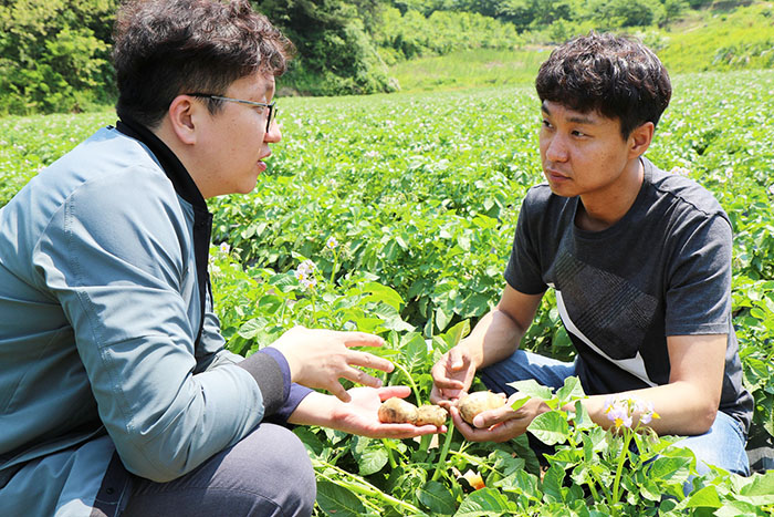 CJ프레시웨이 농산팀 담당자가 경북 예천에서 감자 계약재배 농가와 이야기를 나누고 있다. 사진=CJ프레시웨이 제공